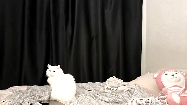 vse horosho online show from 09/24/25, 06:03