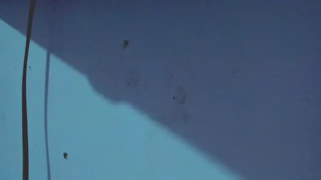 Snapshot of Kimberly_thompsom chatting on 01/31/25, 11:45 Kimberly thompsom online show from 01/31/25, 11:45