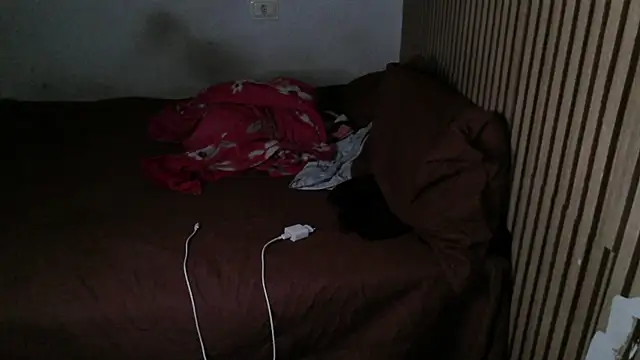 Dedel199 online show from 11/29/25, 01:33