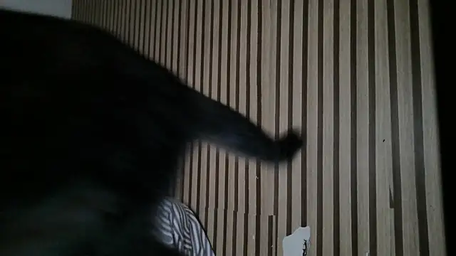 Dedel199 online show from 12/23/25, 11:09