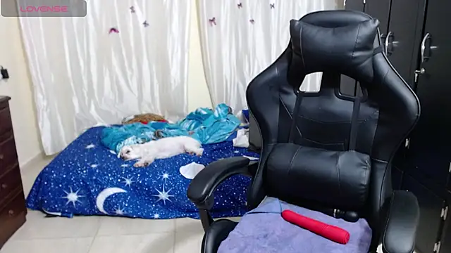 Giorgia xue53 online show from 03/14/25, 03:15