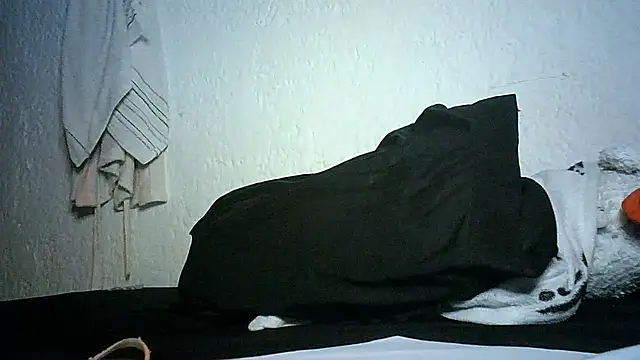 Bellabeltrann online show from 11/28/25, 11:49