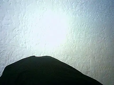 Snapshot of Bellabeltrann chatting on 01/14/26, 12:42 Bellabeltrann online show from 01/14/26, 12:42