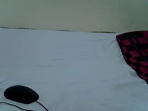 pointy bloom online show from 11/14/25, 04:32