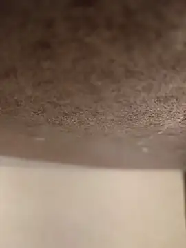 Alex flair online show from 03/17/26, 02:20