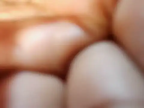 petitev online show from 11/15/25, 04:27