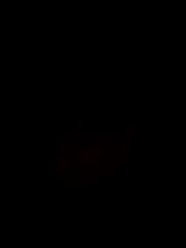 Noviostoxico online show from 10/29/25, 09:36