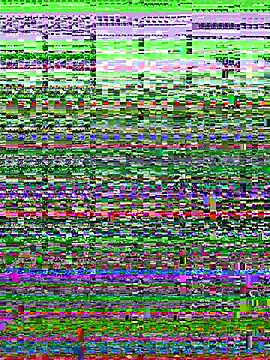 Noviostoxico online show from 10/22/25, 01:27