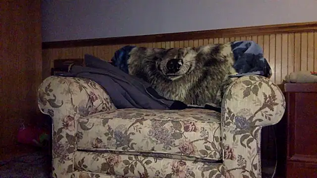 tongueispowerr6d9 online show from 03/03/26, 02:18