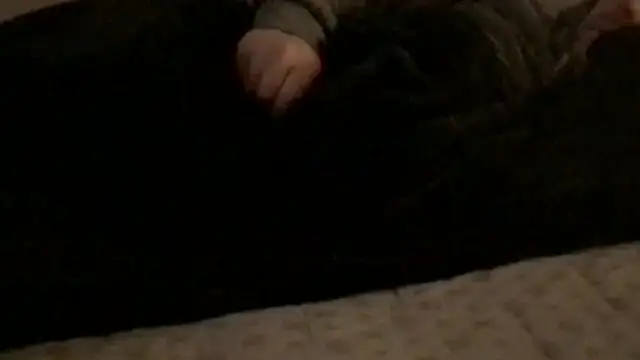 Rock Pierce online show from 02/28/26, 01:22