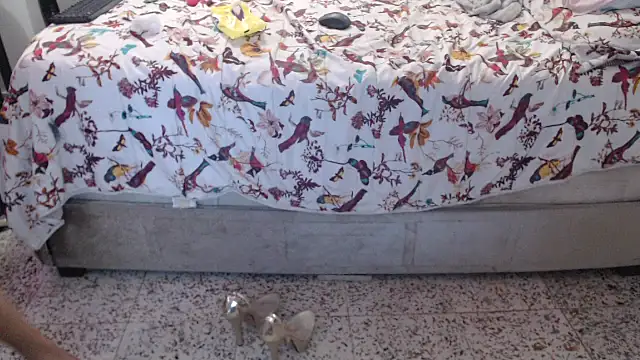 daniela starks online show from 03/12/26, 11:09