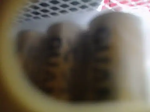 Lovensetest online show from 12/17/25, 01:21