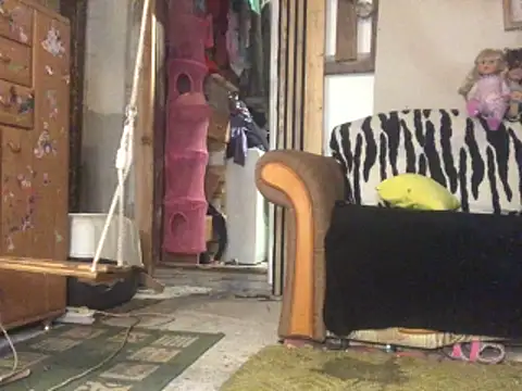 frenkynator online show from 11/15/25, 09:19