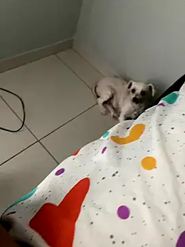 casalhot69 online show from 10/27/25, 05:25