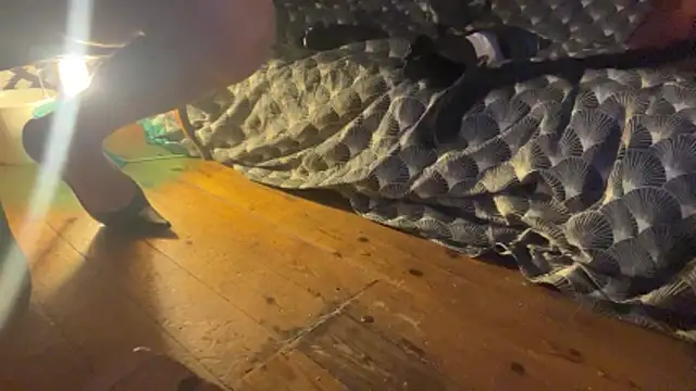 alexheels boots online show from 12/03/25, 02:45