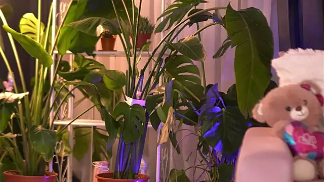 Snapshot of EmilyRaymont chatting on 12/03/25, 04:13 EmilyRaymont online show from 12/03/25, 04:13