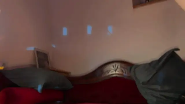 OohBunny online show from 07/19/26, 04:59