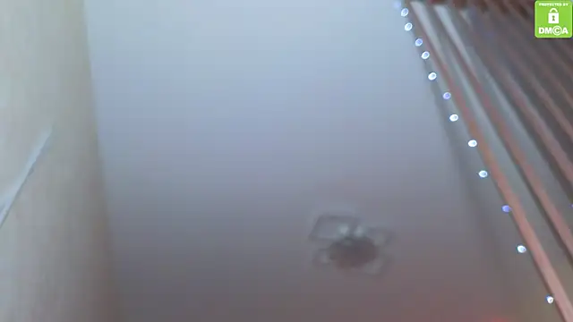 Snapshot of Katy_perry_ chatting on 11/27/25, 03:51 Katy perry online show from 11/27/25, 03:51