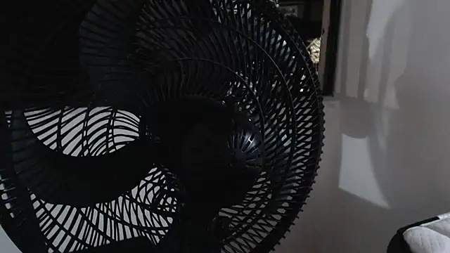 harry greg21 online show from 11/15/25, 02:04