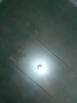 Miss Moriah online show from 04/13/26, 02:32