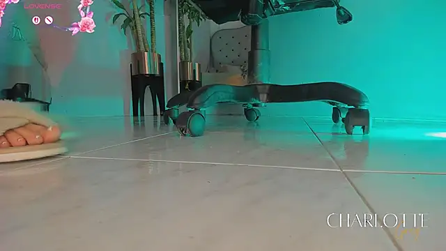 charlotte  grey online show from 02/24/26, 08:21