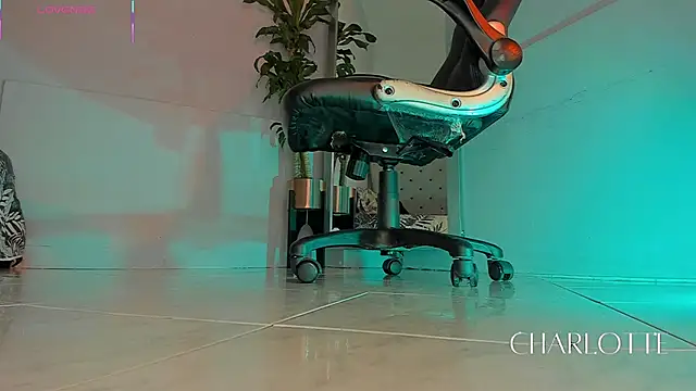 charlotte  grey online show from 11/20/25, 08:42