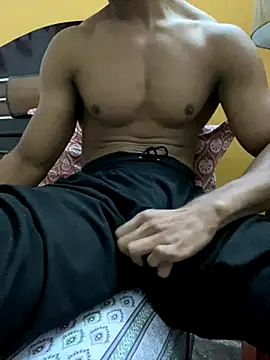 Wild beast online show from 11/27/25, 09:54