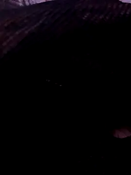 TonyLungas online show from 09/26/25, 03:19