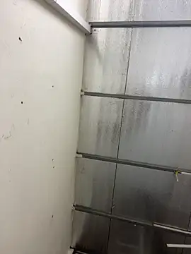 Louis Baby online show from 01/23/25, 11:58