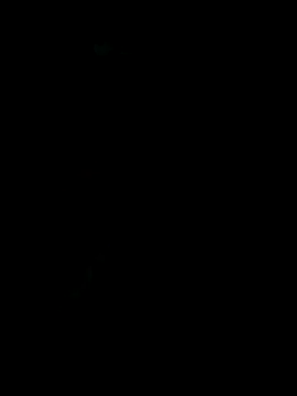 dimitriei online show from 11/16/25, 08:08