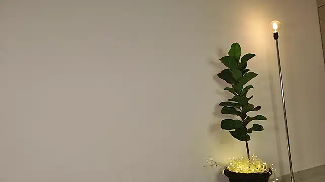 lady ni  online show from 12/17/25, 12:21