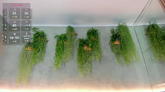 Lana Lann online show from 11/23/25, 12:37