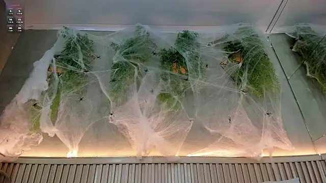 Lana Lann online show from 10/20/25, 01:44