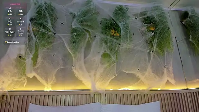 Lana Lann online show from 10/25/25, 12:50