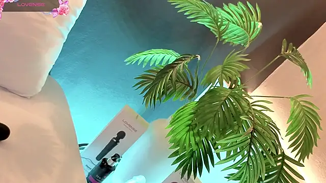 Snapshot of samanthaevanss1 chatting on 02/03/26, 02:53 samanthaevanss1 online show from 02/03/26, 02:53