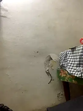 funpharoh1 online show from 11/10/25, 07:41