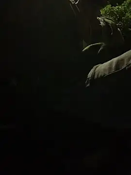 funpharoh1 online show from 11/02/25, 06:51