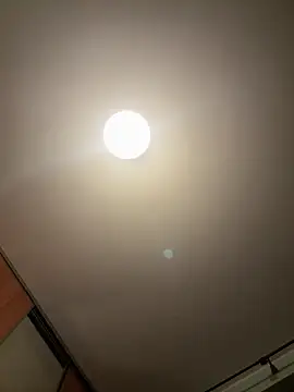 palorid online show from 09/10/25, 10:31