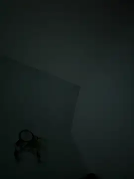 VixyGang online show from 02/19/26, 07:49