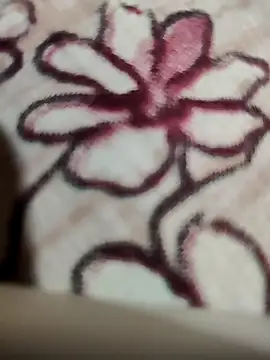 bigboobyrush online show from 04/13/26, 06:23