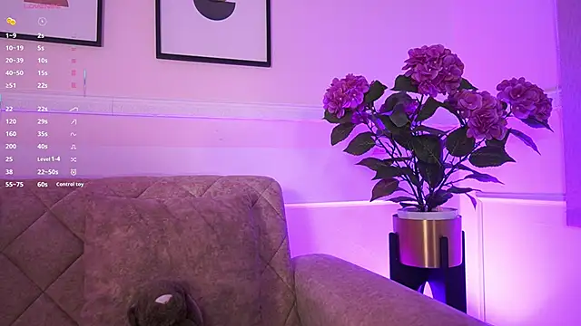 Anybuny online show from 02/04/26, 11:38