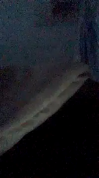 CashBTA online show from 01/04/25, 01:31