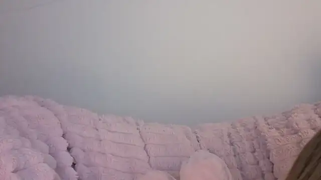 Snapshot of SofiaGc chatting on 01/09/26, 03:46 SofiaGc online show from 01/09/26, 03:46