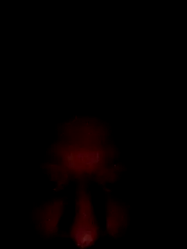 jdrizzle8699 online show from 10/03/25, 08:05