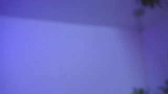 catalina  lovers online show from 12/17/25, 05:29