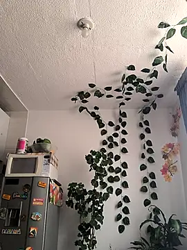 elizatexx online show from 04/03/26, 05:19