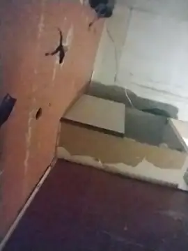 brownfeet online show from 02/26/25, 11:52