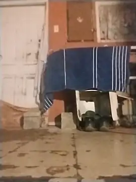 brownfeet online show from 01/18/25, 04:59