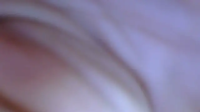 ziggyspice online show from 12/12/24, 12:48