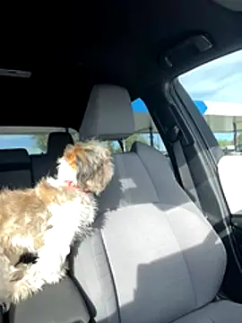 SafeinouterSpace online show from 11/26/25, 09:37